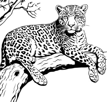 Leopard lying on a tree branch line art. ai generated illustration