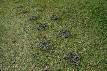 Stepping stones are specially designed to pass between green lawns.