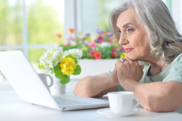 senior nice woman using laptop at home