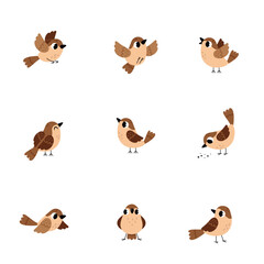 Little Brown Sparrow Bird with Feathers and Beak Vector Set