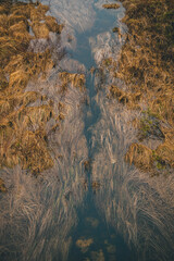 Forest in Norway on the way to the fjord. Fog and yellow, gray and black landscape, beautiful roads, rocks and stones.