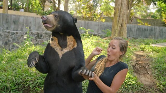 Woman playing with bear at the zoo