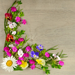 Pattern of chamomiles, phlox and violets on a beautiful gray background. Free space for text.