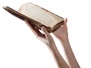 woman holding and reading the bible