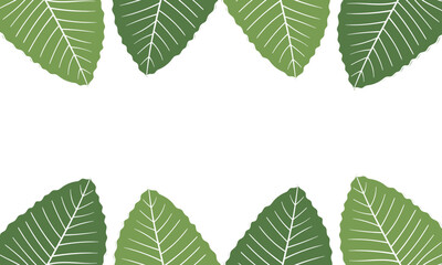 leaf illustration background with nature theme on white background