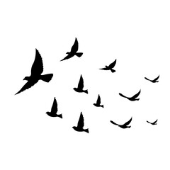 silhouettes of flock birds fly in sky