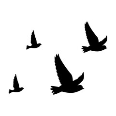 silhouettes of flock birds fly in sky