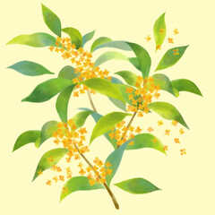 キンモクセイのイラスト素材