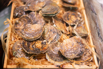 oysters displayed on ice in seafood street market 