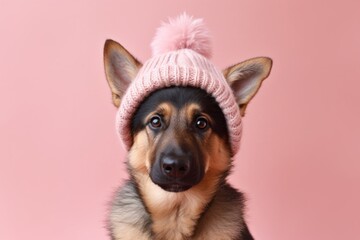 Photography in the style of pensive portraiture of a cute german shepherd wearing a winter hat against a peachy pink background. With generative AI technology