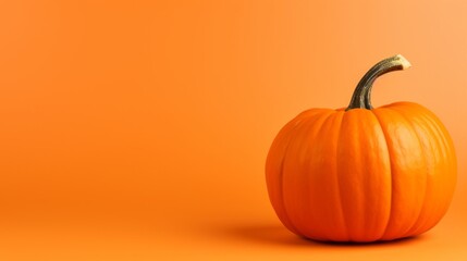 Orange pumpkin on orange background with copy space. Halloween or Thanksgiving concept