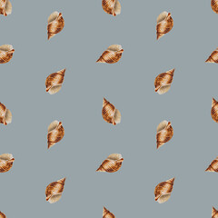 Watercolor seamless pattern with shells. Hand painting clipart underwater life objects on a white isolated background. For designers, decoration, postcards, wrapping paper, scra