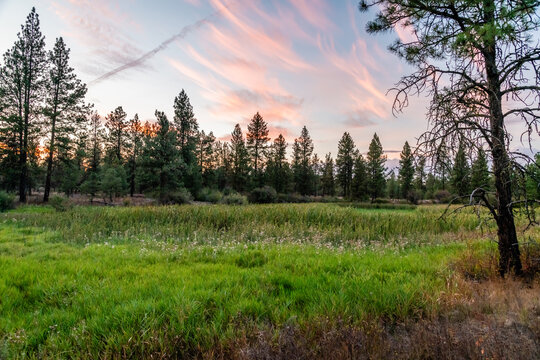 Sunset at Blackhorse Lake in Turnbull National Wildlife Refuge.