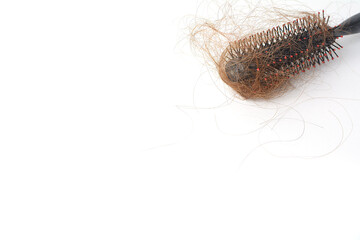 Hair loss in comb, hair fall everyday serious problem, on white background.