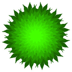 christmas, holly, berry, leaf, decoration, holiday, xmas, vector, plant, winter, illustration, berries, celebration, branch, fruit, green, red, tree, leaves, nature, season, ornament, design, mistleto