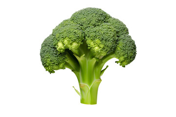 broccoli isolated on a transparent background, PNG