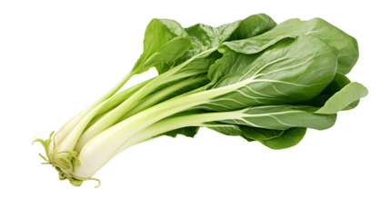 Bok Choy isolated on a transparent background, PNG