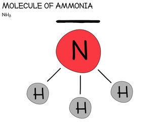 Large and detailed infographic of the molecule of Ammonia