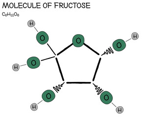 Large and detailed infographic of the molecule of Fructose