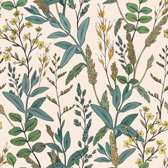 Seamless pattern with wild herbs, wheat spikelets