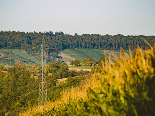 Fototapeta na wymiar Strommasten einer Überlandleitung im Feld
