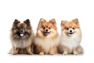 Cute three dogs isolated on white background. Generative AI