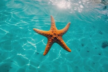 Fototapeta na wymiar Starfish swims in sea water. Summer time. Generative AI