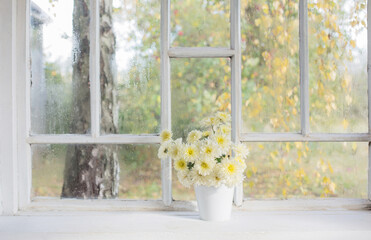 chrysanthemums in  vase on  windowsill in autumn