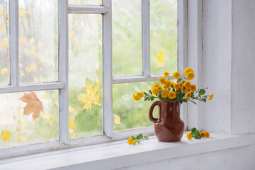Fototapeta na wymiar chrysanthemums in vase on windowsill in autumn