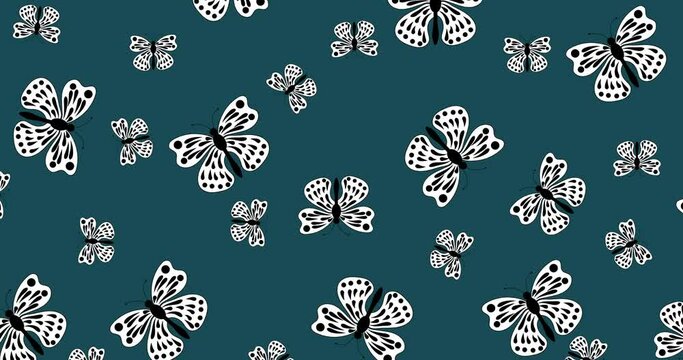 4k seamless butterfly loop animation background,motion graphics loop animation