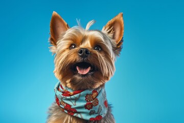 Lifestyle portrait photography of a funny yorkshire terrier wearing a bandana against a sky-blue background. With generative AI technology