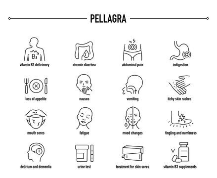 Pellagra symptoms, diagnostic and treatment vector icons.   Line editable medical icons.