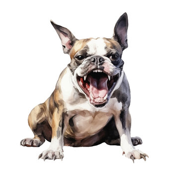 angry dog watercolor illustration, generative AI