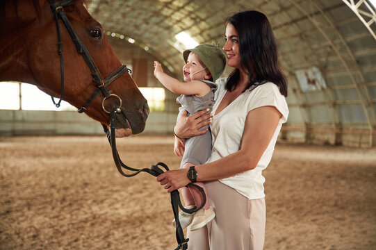 Happy kid is touching the animal. Gorgeous woman with her little baby son is with horse indoors - Powered by Adobe