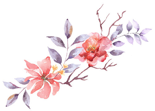 Branch with leaves and floral.Bouquet of rose painted with watercolor.For decorating wedding invitation cards.Vintage style.Blooming flower.