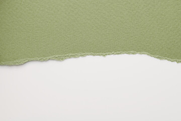 Art collage of pieces of ripped paper with torn edges. Sticky notes collection green white colors,...