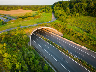Green ecoduct over an empty highway during sunset. - 644081169