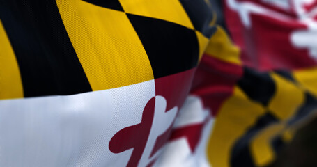 Close-up of Maryland state flag waving - obrazy, fototapety, plakaty