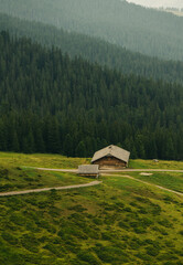 A high-quality phot of a lonely log home in a pine forest at the crossroads 