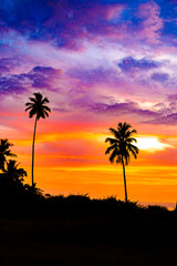 The silhouette of a row of coconut trees on Bakongan Beach, Tapaktuan, Aceh during sunset, with the sky blending from orange to red and magenta, is a truly beautiful moment.