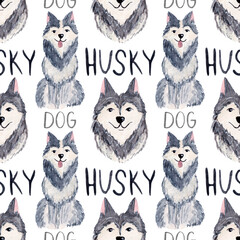 Watercolor pattern with husky and simple text on white background. For national dog day, various...