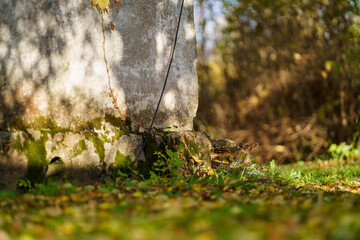 golden autumn hiking nature trail