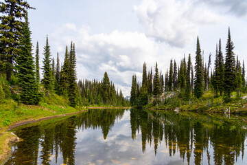 Meadows in the Sky Parkway in Mount Revelstoke National Park.  Mount Revelstoke National Park is a national park located adjacent to the city of Revelstoke, British Columbia, Canada.  © JHVEPhoto