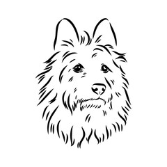 Decorative outline portrait of Dog Australian Terrier, vector
