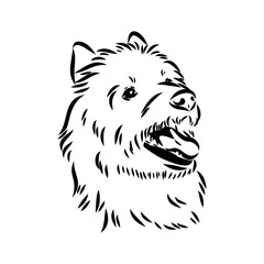 Decorative outline portrait of Dog Australian Terrier, vector