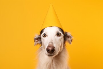 Conceptual portrait photography of a happy borzoi wearing a wizard hat against a yellow background. With generative AI technology