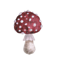 Red fly agaric with magical texture isolated on white background. Watercolor hand drawn amanita poison mushroom sketch iIllustration. Art design witchcraft halloween witch decoration, greeting card