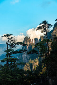 Mangshan Wuzhifeng Scenic Area, Yizhang County, Chenzhou City, Hunan Province, China