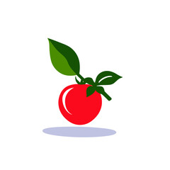 vector symbol of a red tomato with green leaves
