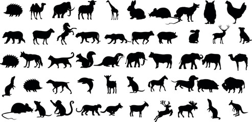 50 mammals silhouette vector illustrations. These meticulously crafted animal graphics capture the essence of wildlife.these versatile mammal are Perfect for nature-themed designs, wildlife concepts,